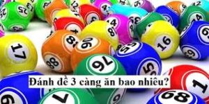 Hiểu Đúng Về Đề 3 Càng Tại Go789: Cách Chơi Và Cơ Hội Trúng Thưởng