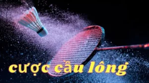 cá cược cầu lông