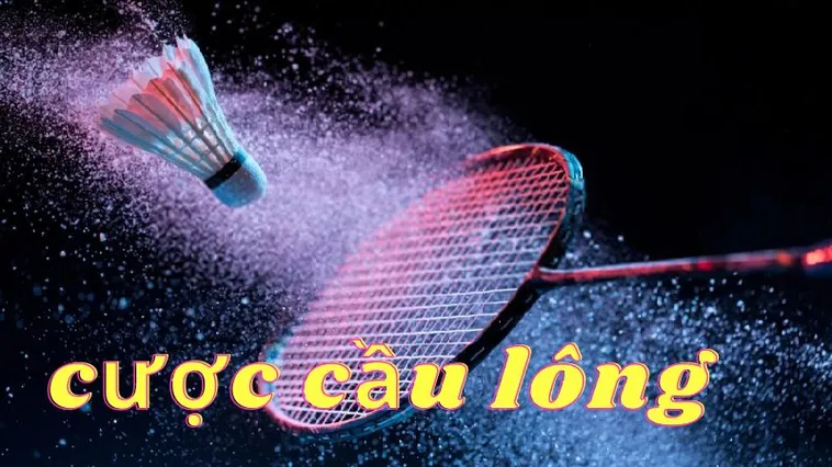 cá cược cầu lông
